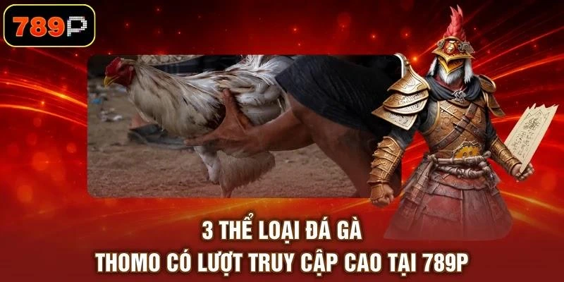 3 thể loại đá gà Thomo có lượt truy cập cao tại 789P