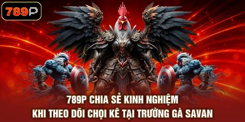 789P chia sẻ kinh nghiệm khi theo dõi chọi kê tại trường gà Savan