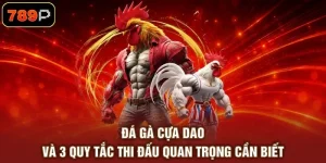 Đá Gà Cựa Dao Và 3 Quy Tắc Thi Đấu Quan Trọng Cần Biết