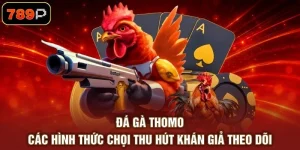 Đá Gà Thomo - Các Hình Thức Chọi Thu Hút Khán Giả Theo Dõi