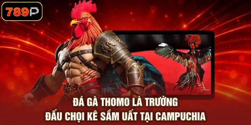 Đá gà Thomo là trường đấu chọi kê sầm uất tại Campuchia