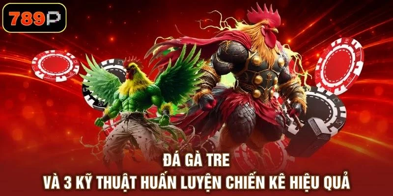 Đá Gà Tre Và 3 Kỹ Thuật Huấn Luyện Chiến Kê Hiệu Quả