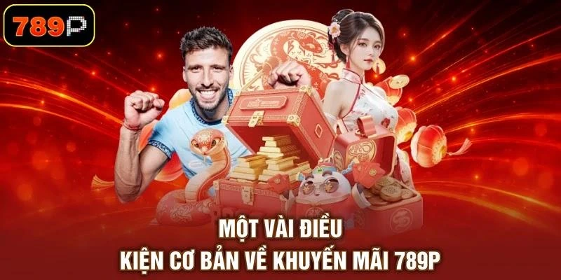 mot-vai-dieu-kien-co-ban-ve-khuyen-mai-789p Một vài điều kiện cơ bản về khuyến mãi 789P